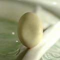 SPA Handcrafted Brazilian Goat Milk Bar Soap